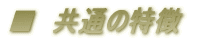 @ʂ̓
